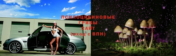 Альфа ПВП Михайловск