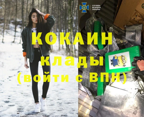 ГАЛЛЮЦИНОГЕННЫЕ ГРИБЫ Михайлов