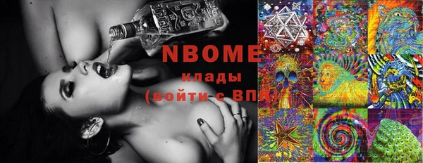 ГАЛЛЮЦИНОГЕННЫЕ ГРИБЫ Михайлов