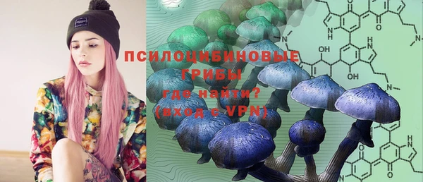 амф Михайловка