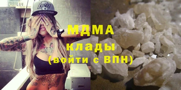 ГАЛЛЮЦИНОГЕННЫЕ ГРИБЫ Михайлов