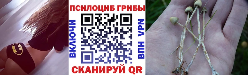 даркнет сайт  Мамоново  Галлюциногенные грибы Psilocybine cubensis 